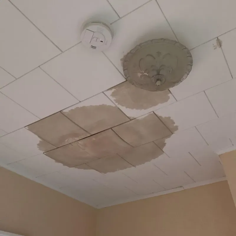 Ceiling Water Damage Repair in Rice County, MN