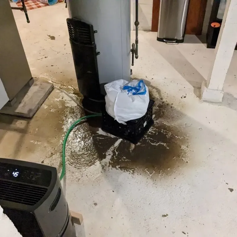 Sewage Backup Cleanup Service in Rice County, MN